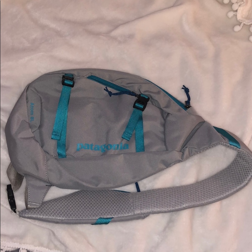 Patagonia hiking bag